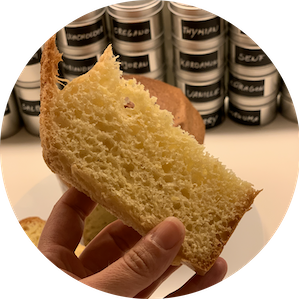 pandoro